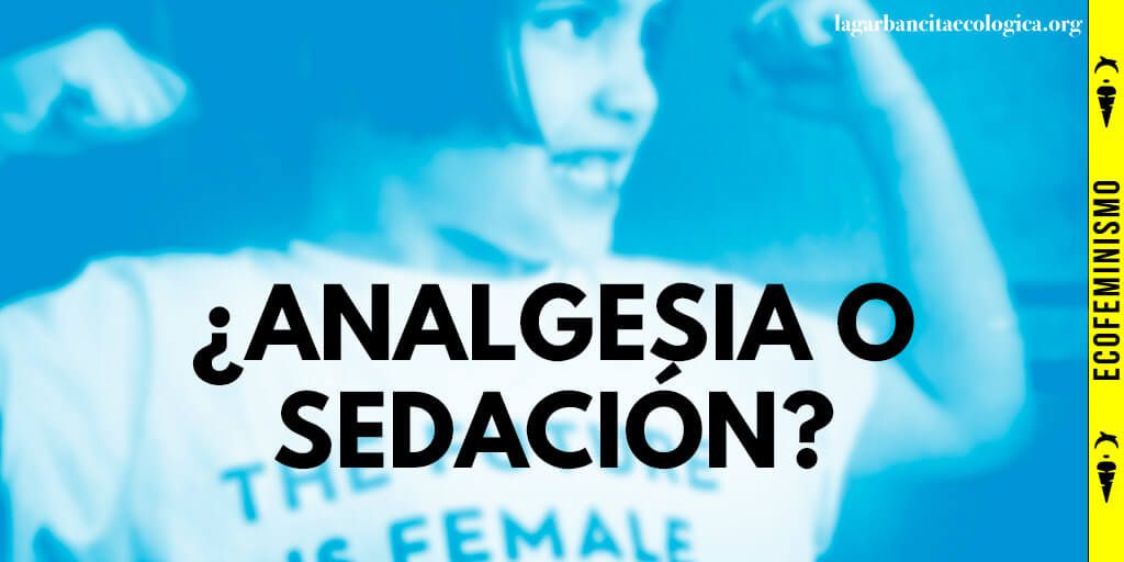 ¿Analgesia O Sedación? - La Garbancita Ecológica