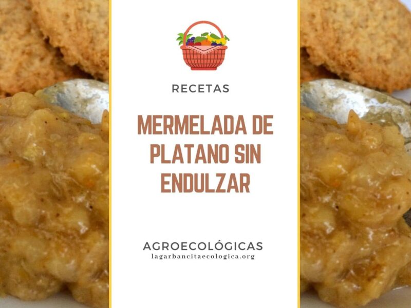 Imagen de mermelada de plátano sin endulzar bajo el título de la entrada "mermelada de plátano sin endulzar"