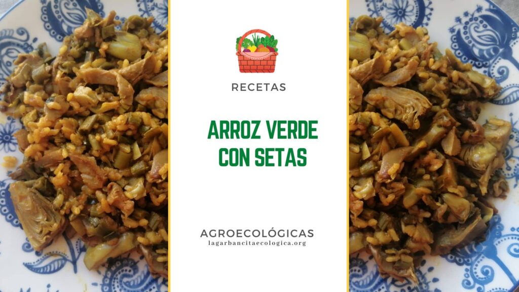 Imagen de arroz verde con setas y sobre él el título de la entrada "arroz verde con setas"