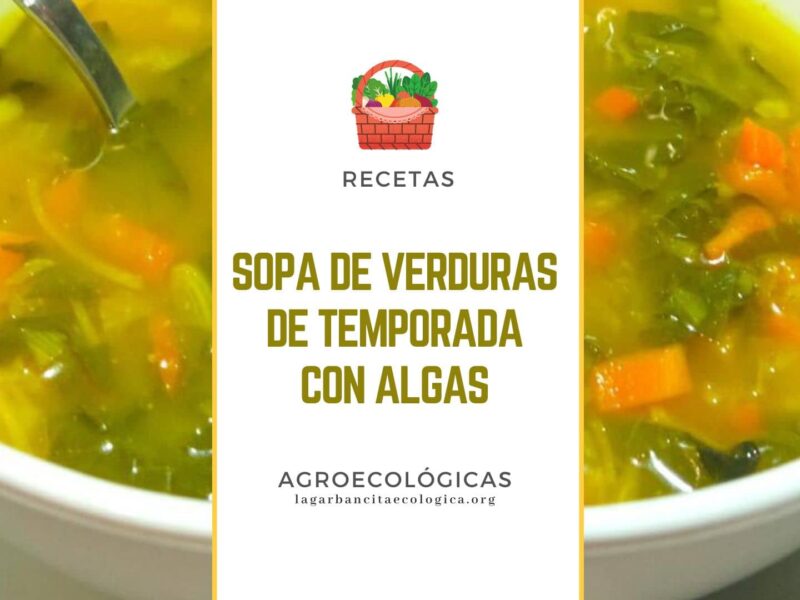Imagen de fondo de una sopa de verduras sobre la que aparece el texto de la entrada "sopa de verduras de temporada con algas"