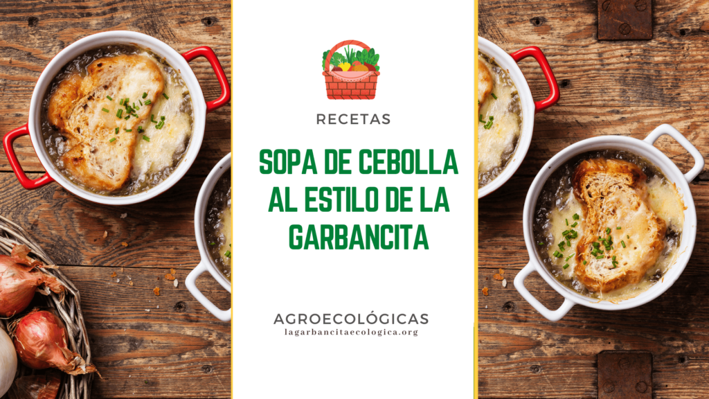 Imagen de sopa de cebolla con pan y perejil