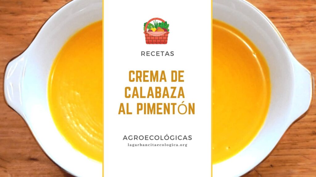 Crema de calabaza al piment n La Garbancita Ecol gica