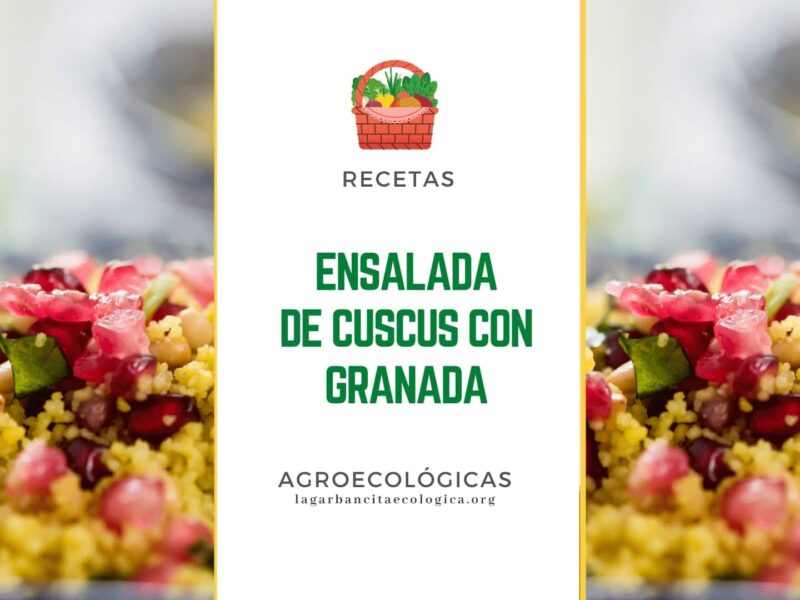 Cuscus con pepitas de granada, trocitos de tomate y perejil picado