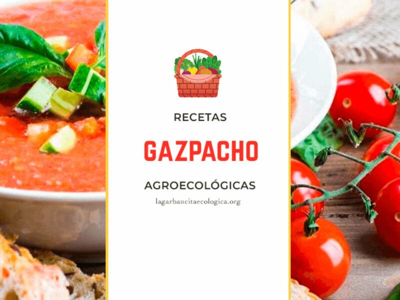 gazpacho andaluz