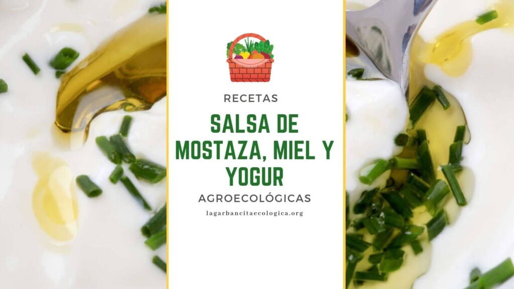 Salsa de mostaza, miel y yogur