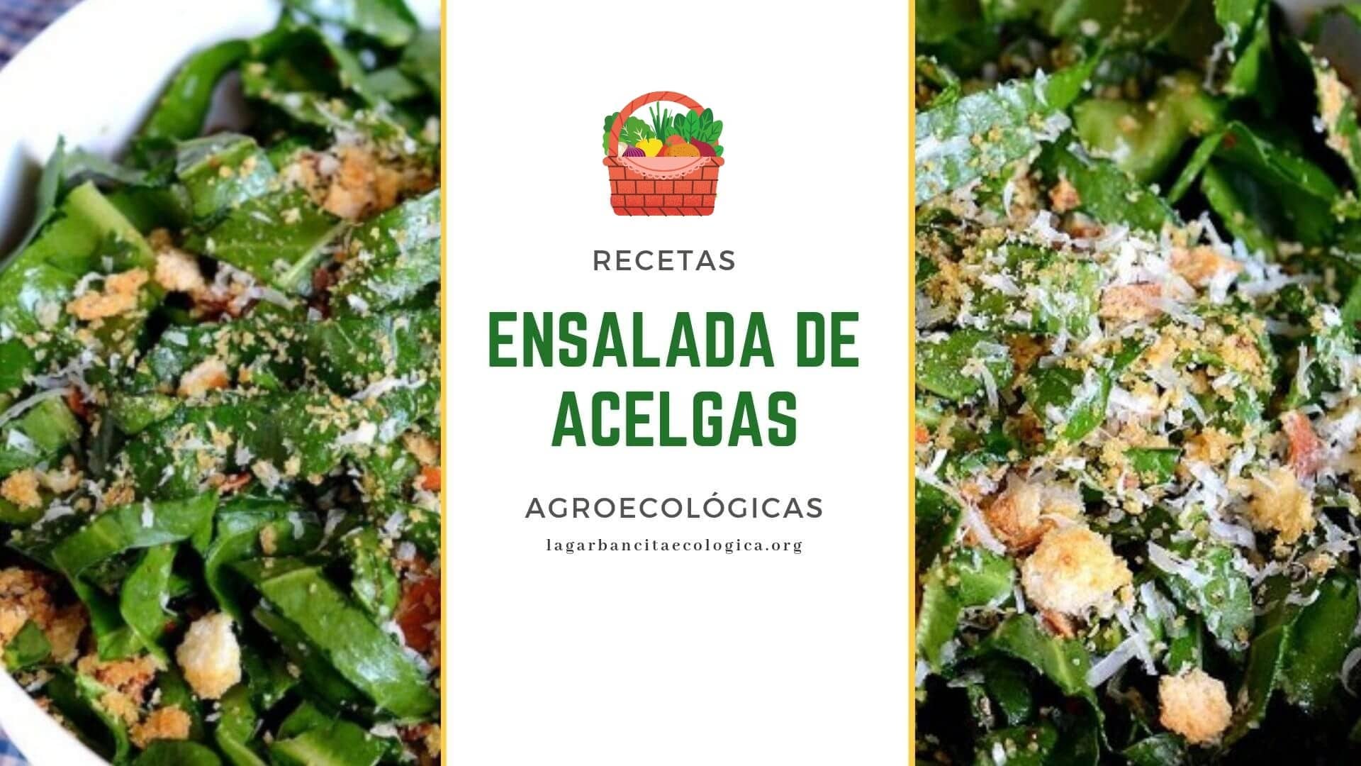 Ensalada de acelgas