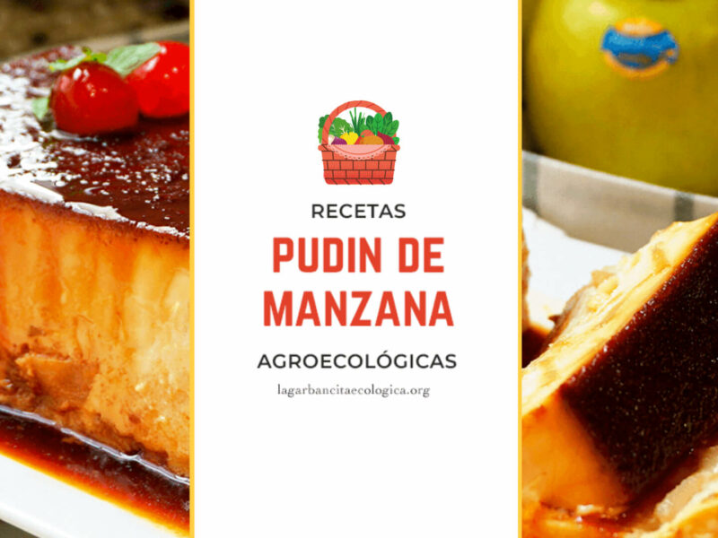 pudin de manzana